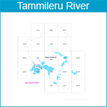 tammileru
